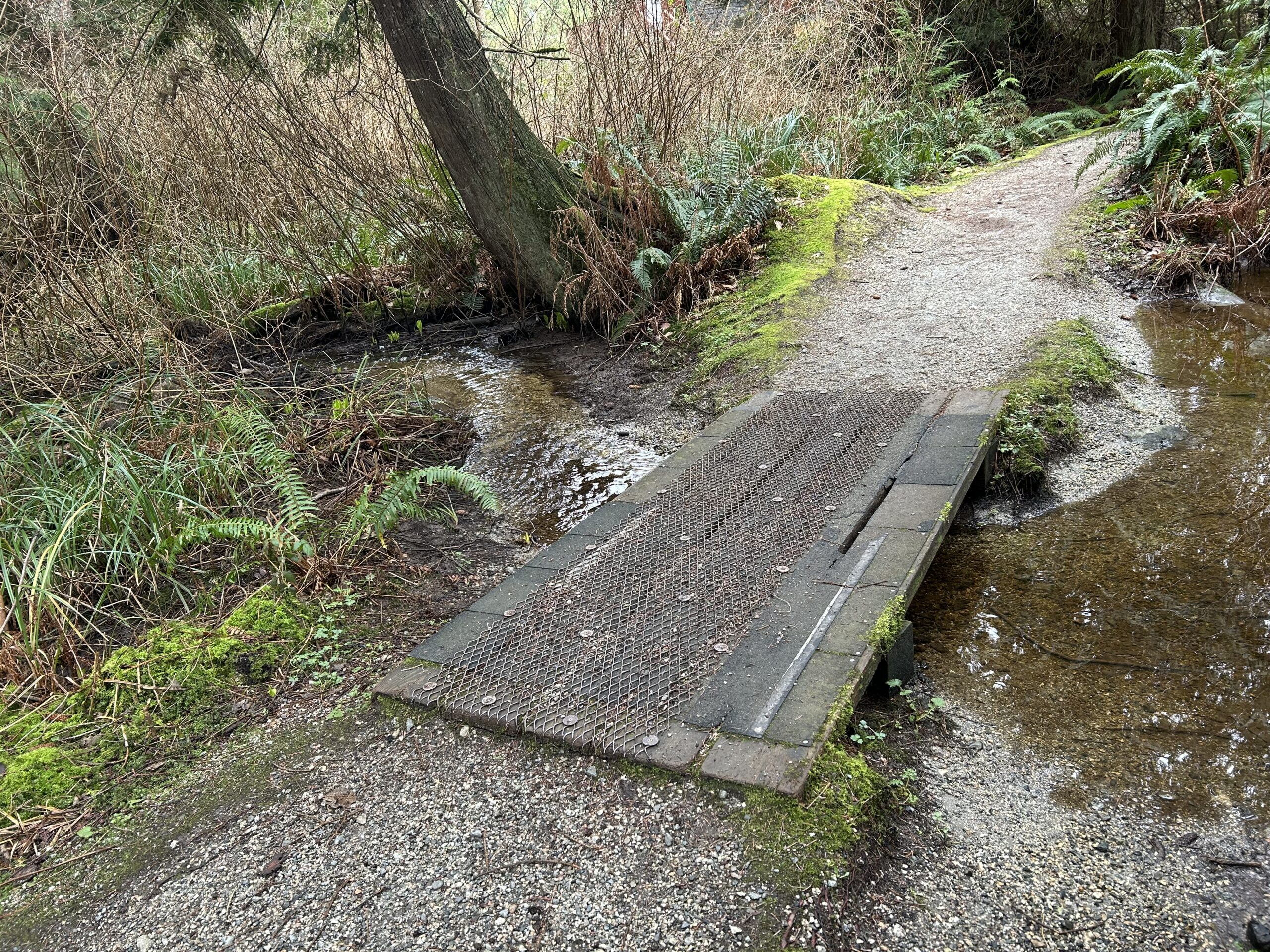 Clark trail in Elphinstone provides connection between communities for active transportation